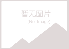 鹤岗兴安白山工程有限公司